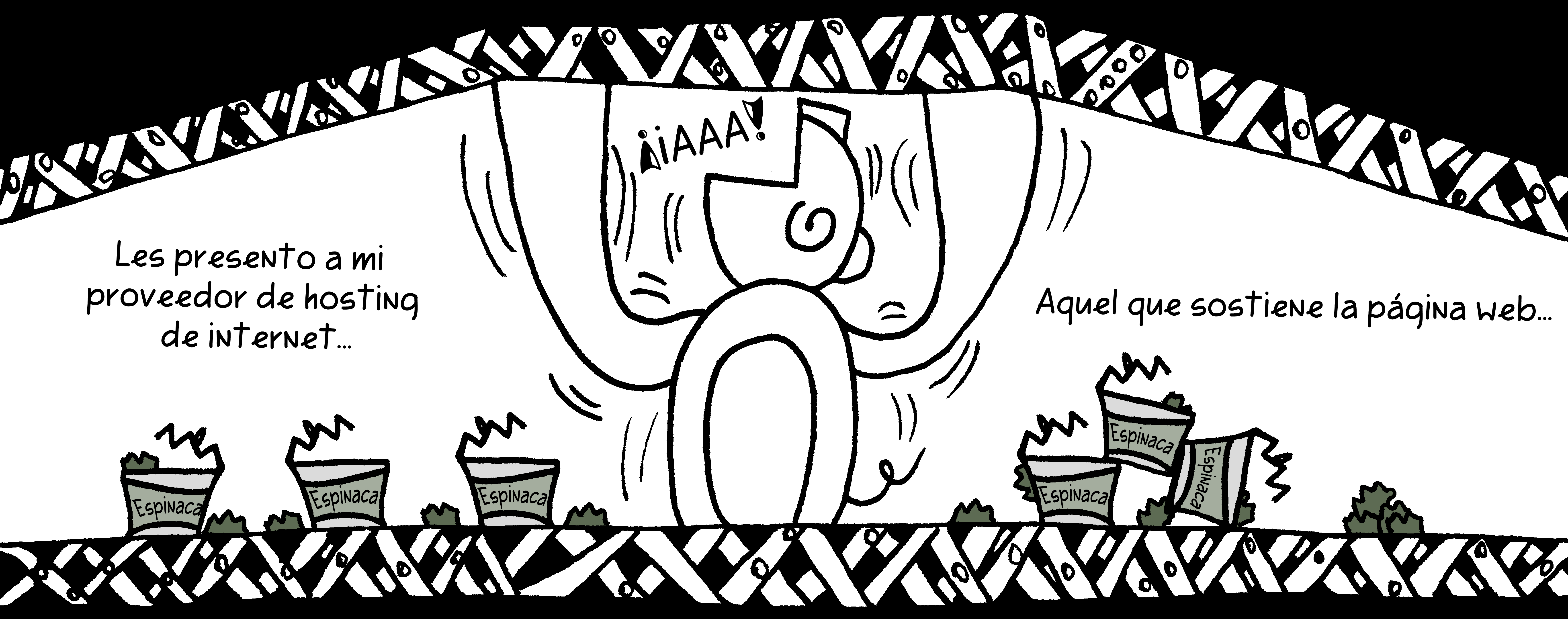 Mi proveedor de hosting